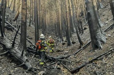 The wildfire burnt about 2,900 hectares, around half the size of Manhattan